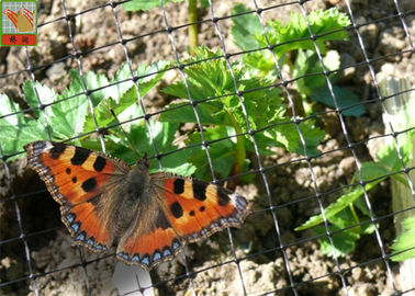 Lightweight Garden Wire Netting Fence For Butterfly / Bird Proofing Black Color